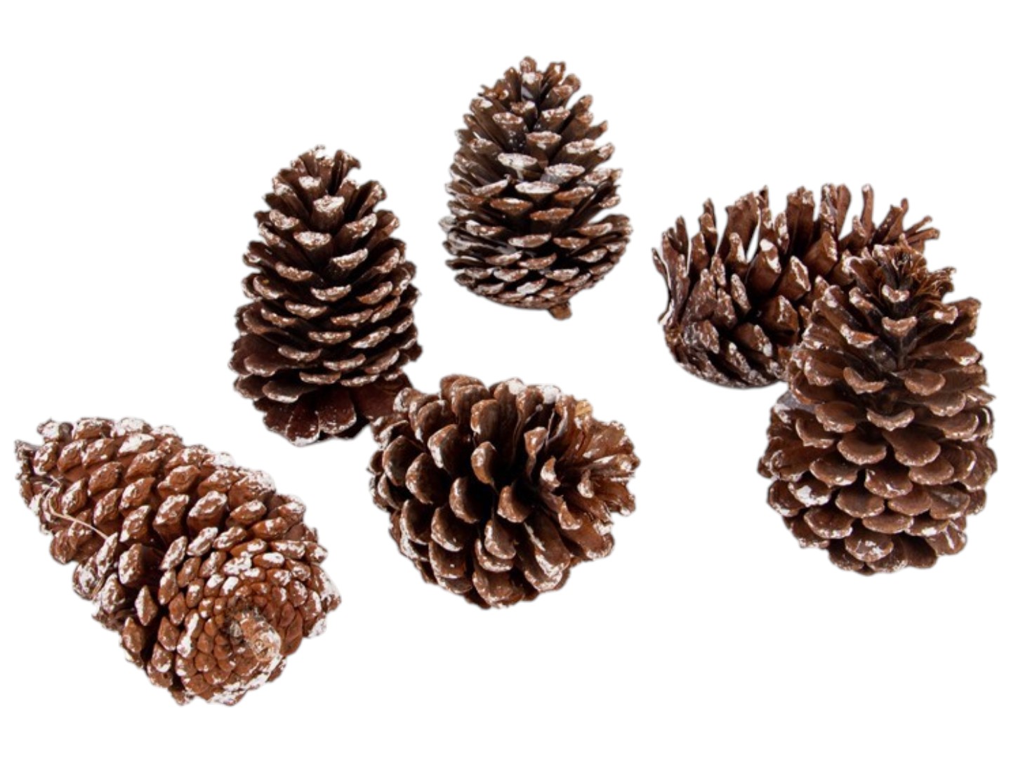 Декор New Year Lefard шишок 6 шт (801-577)